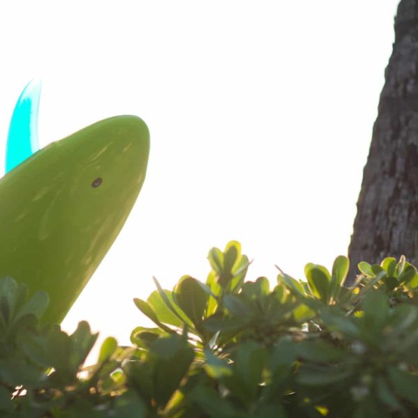 Hawaii Surfboard Sunrise