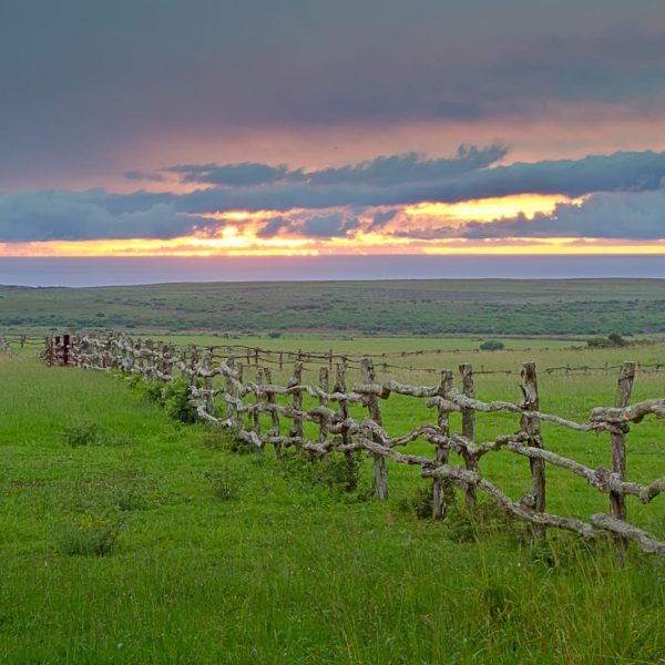 Hawaii Luxury Vacation Countryside