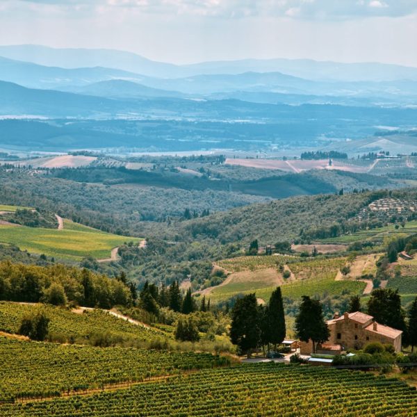 Castellina In Chianti