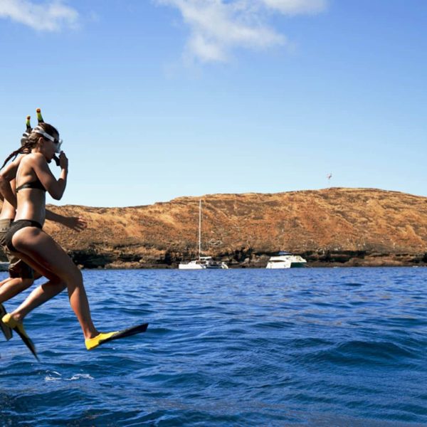 Hawaii Luxury Vacation snorkeling