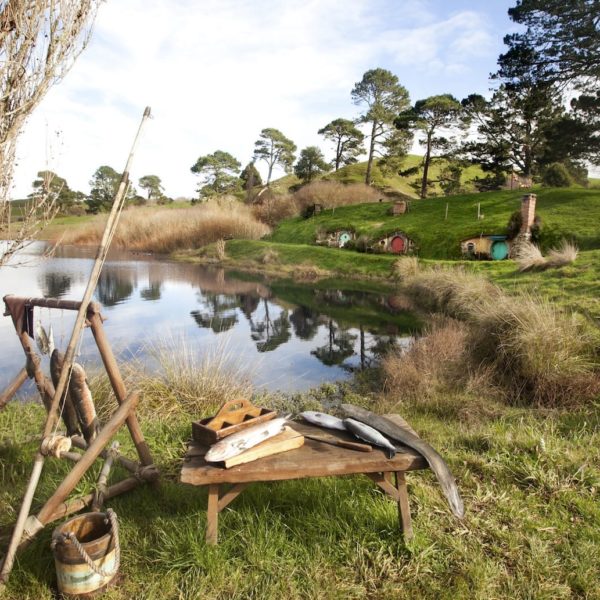Hobbiton Matamata Waikato Lord of the Rings The Hobbit Vacation