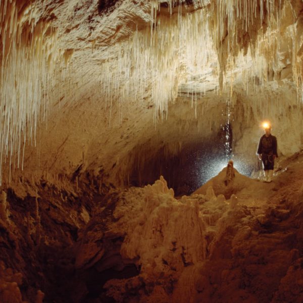 Luckie Strike Cave Waikato Absolute Adventure