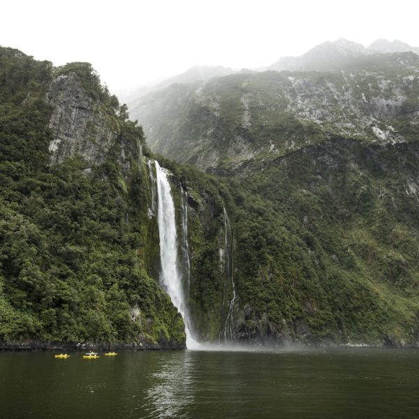 Milford Sound Fiordland