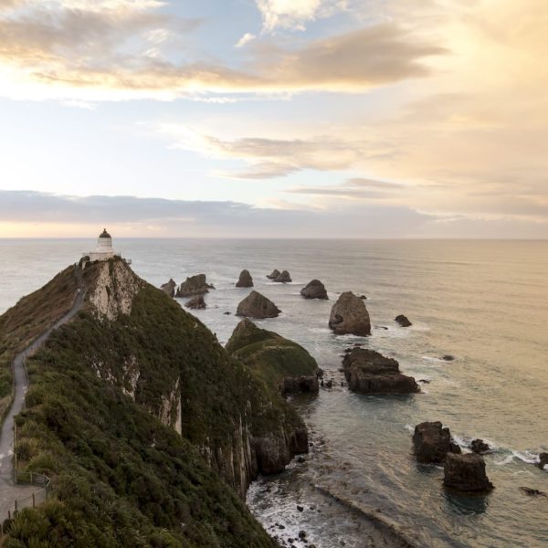 Nugget Point The Catlins