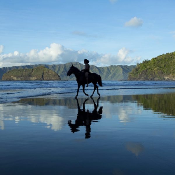 Tahiti HIVA Horseback on Beach