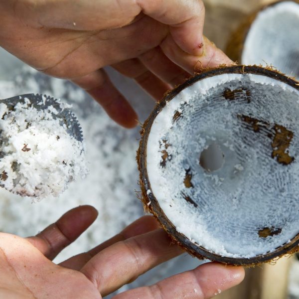 Tahiti Huahine coconuts harvest scrape bowl by hand
