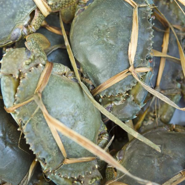 Tahiti Huahine fresh caught crabs