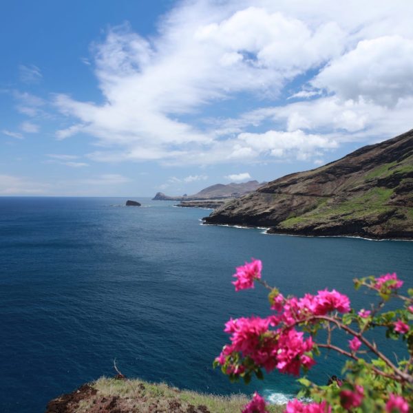 Tahiti Ua Huka ocean cliffs tropical flowers