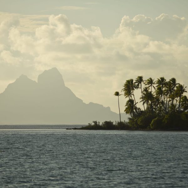 Tahiti tahaa afternoon sun palm tree island mountains ocean view