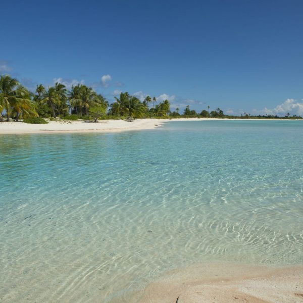Tahiti tikehau island blue tahitian waters ocean