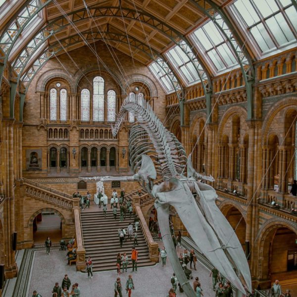 Victoria and Albert Museum, London, United Kingdom