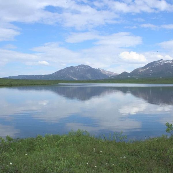 Alaska Luxury Vacation Denali Highway