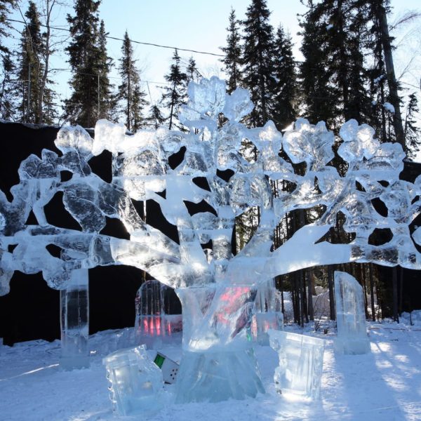 Alaska Luxury Vacation Fairbanks Ice Sculpture Trees
