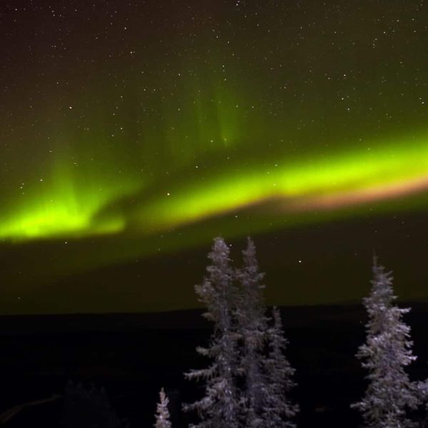 Alaska Luxury Vacation Fairbanks Northern Lights Green Pine Tress Snow