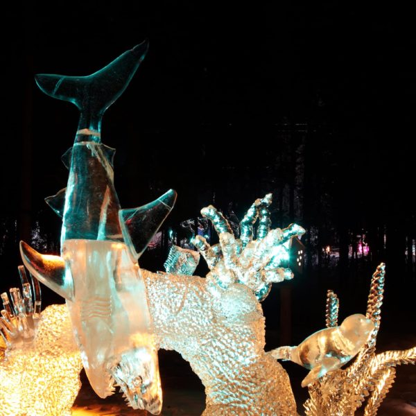 Alaska Luxury Vacation Fairbanks Salmon Run Ice Sculpture