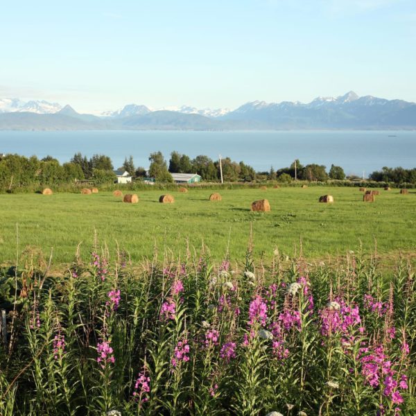 Alaska Luxury Vacation Homer