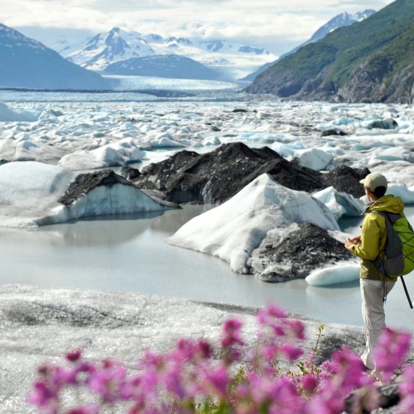 Alaska Luxury Vacation Matsu Valley Spring Ice Mountians Flowers