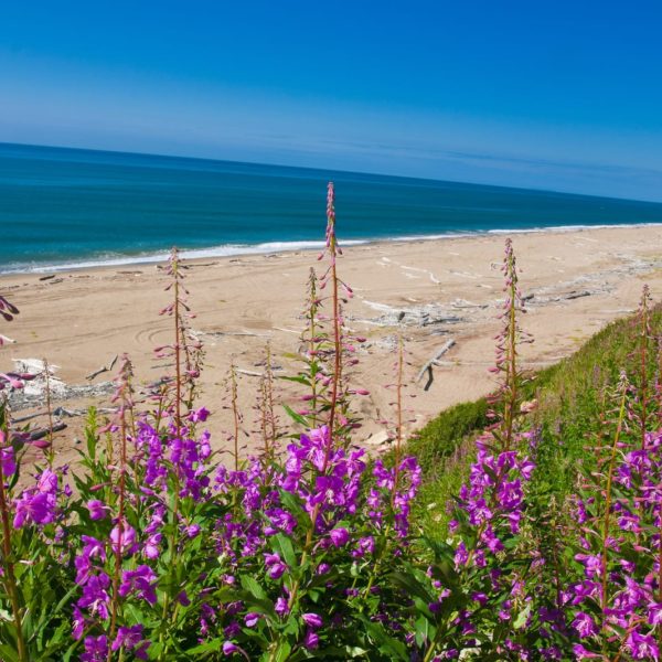 Alaska Luxury Vacation Nome Beach Spring Summer