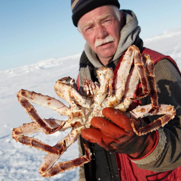 Alaska Luxury Vacation Nome Ice Fishing Man Catch Crab