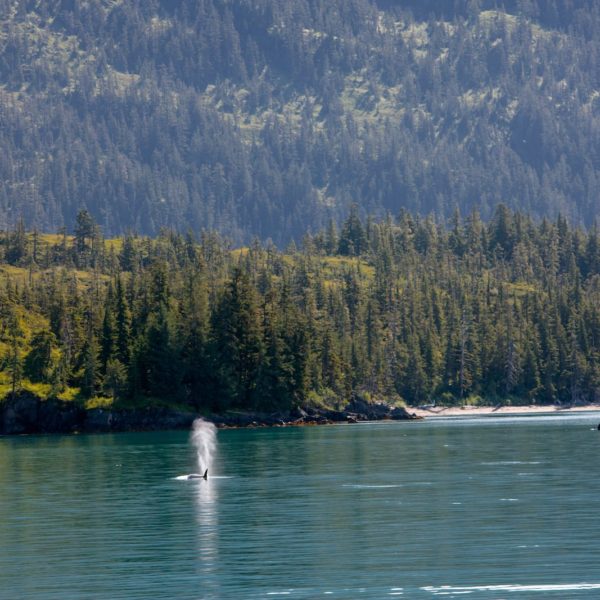 Alaska Luxury Vacation Prince William Sound