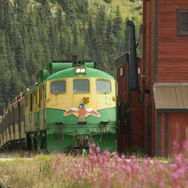 Alaska Luxury Vacation Skagway Train Eagle