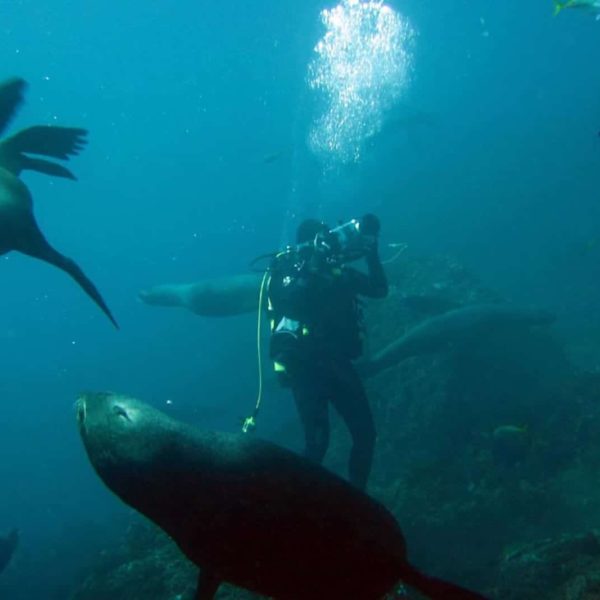 Archipiélago Juan Fernandez Región De Valparaíso