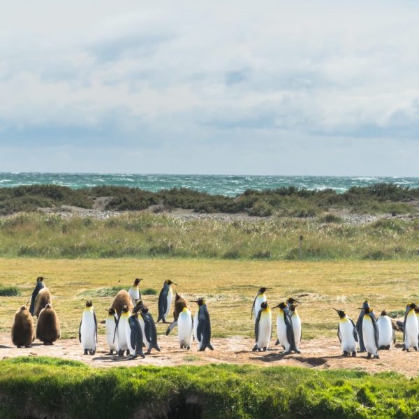 Bahia Inútil Chile