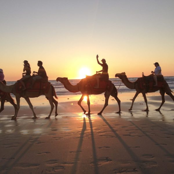 Camel Train On Cable Beach Broome Wa Luxury Australia Vacation