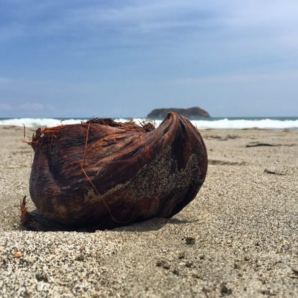 Coconut Beach Costa Rica Tropical Travel Sea