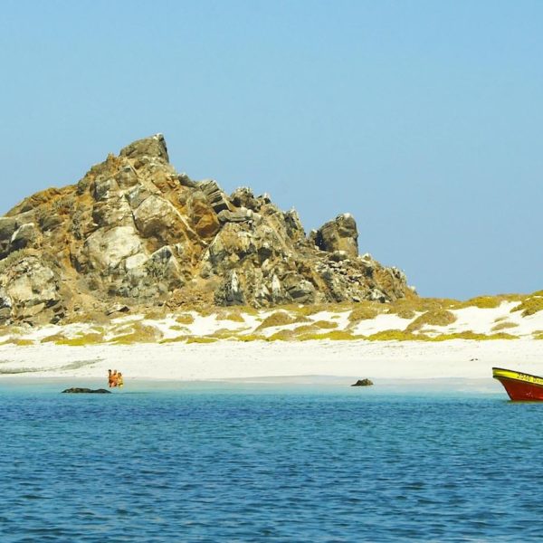 Coquimbo Parque Nacional Pinguino Humboldt