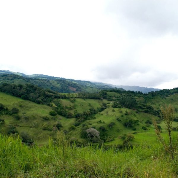 Costa Rica Landscape Nature Outside Sky Clouds
