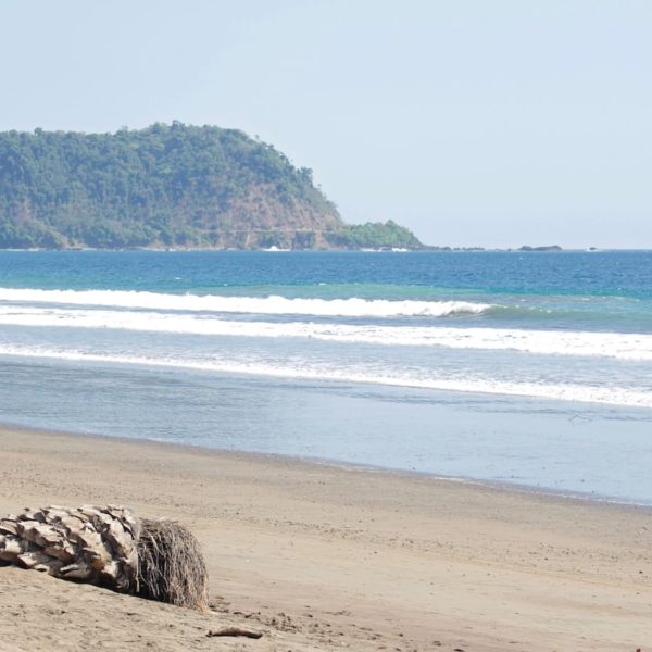 Costa Rica Tropical Jungle Nature Outdoors Travel
