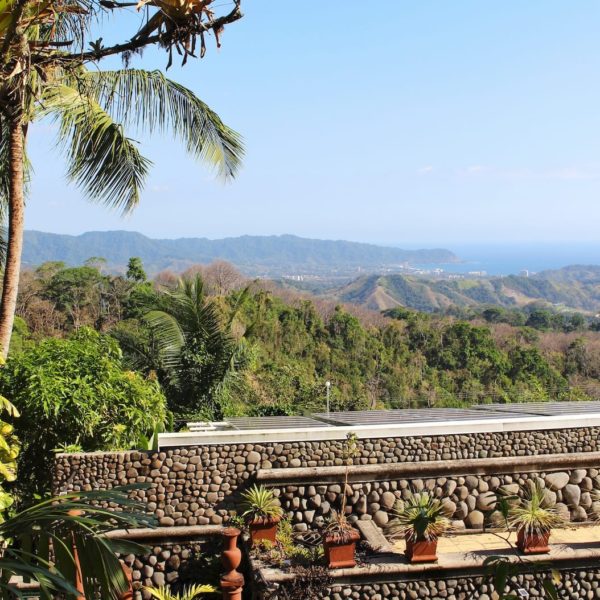Costa Rica Tropical Jungle Nature Outdoors Travel