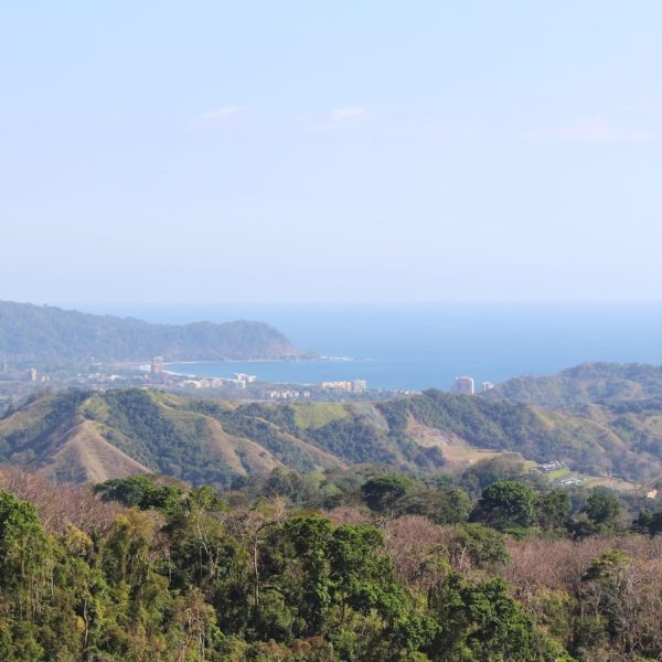 Costa Rica Tropical Jungle Nature Outdoors Travel