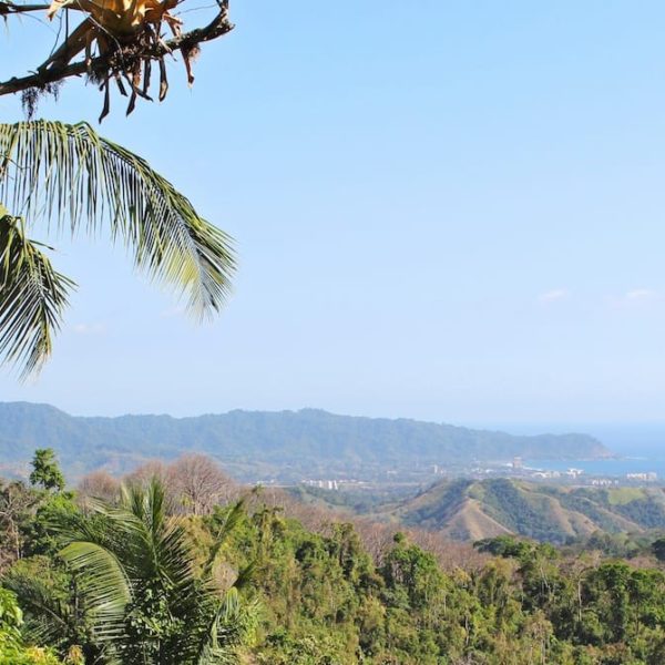 Costa Rica Tropical Jungle Nature Outdoors Travel