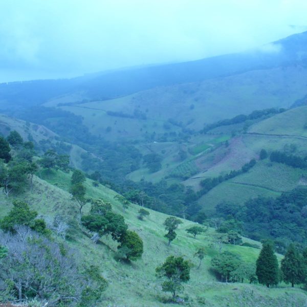 Countryside Costa Rica Misty Landscape Wilderness
