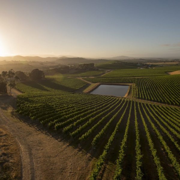 De Bortoli Yarra Valley Estate Victori Luxury Australia Vacation