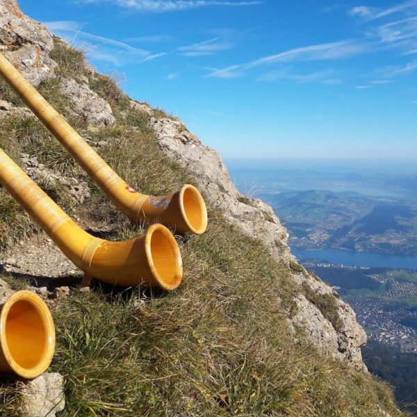 Europe Luxury Switzerland Vacation Alphorn Musical Instrument Horn Wood Instrument