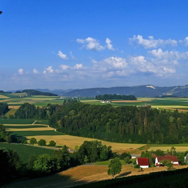 Europe Luxury Switzerland Vacation Landscape Switzerland Aargau Vineyard Agriculture