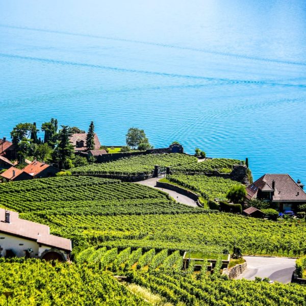 Europe Luxury Switzerland Vacation Swiss Montreux Vineyard