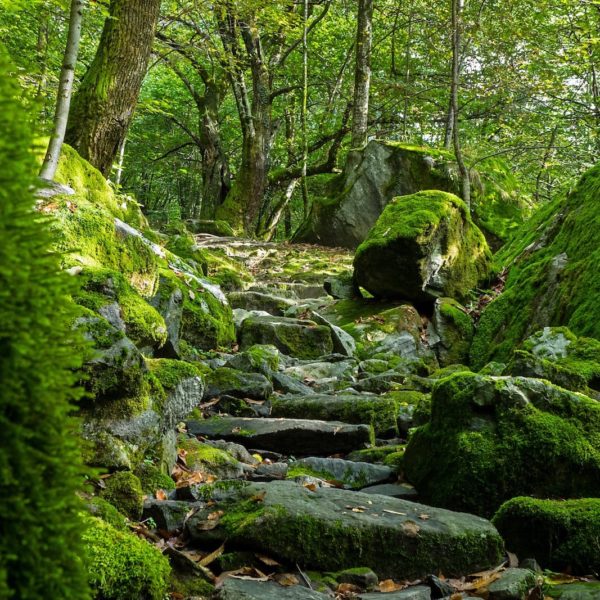 Europe Luxury Switzerland Vacation Trail Ticino Val Bavona Val Maggia Switzerland