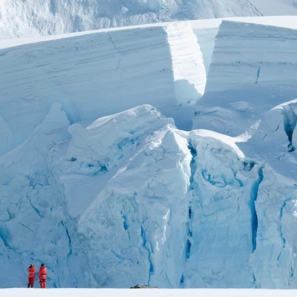 Glaciar Sector Bahiôa Paraiôso Base Chilena Gabriel Gonzaôlez Videla Territorio Antaôrtico Chileno
