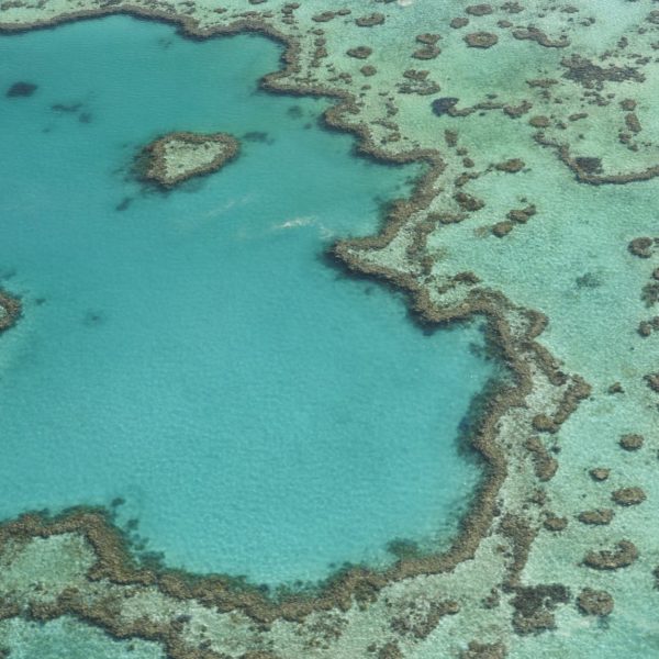 Heart Reef Great Barrier Reef Qld Luxury Australia Vacation