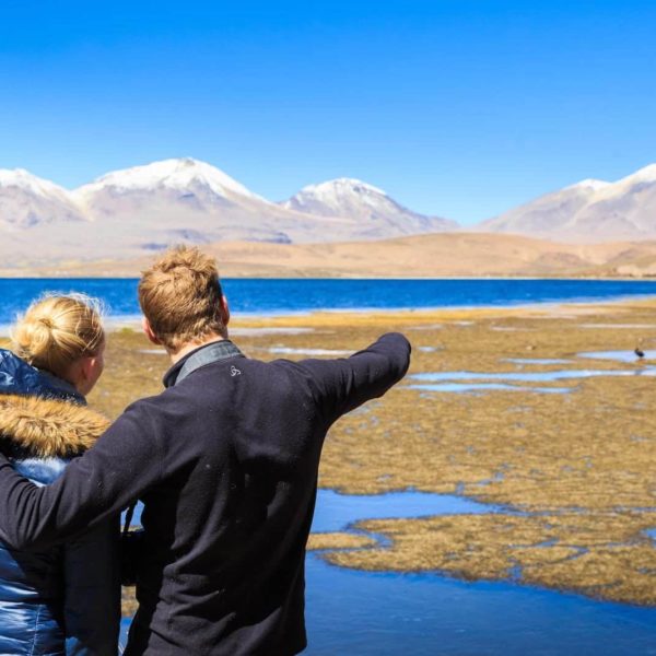 Lagunas Altiplanicas San Pedro De Atacama