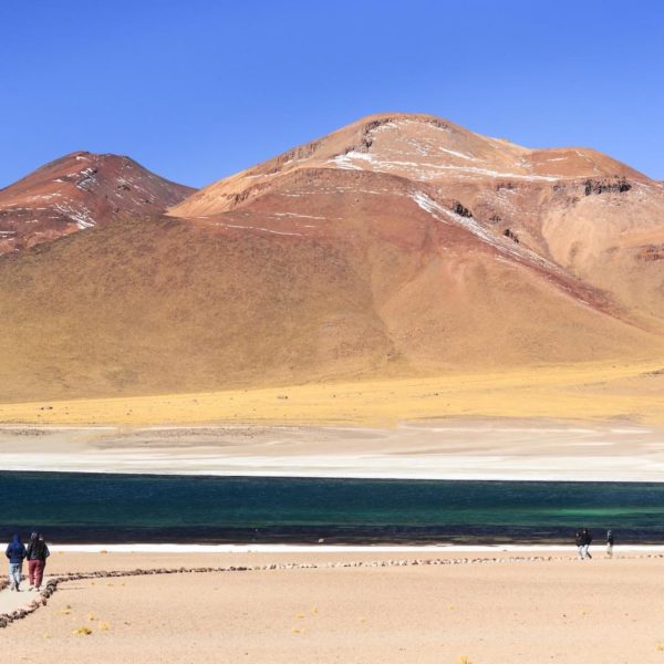 Lagunas Altiplanicas San Pedro De Atacama