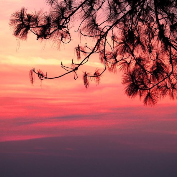 Luxury Thailand Vacation Backlit Dawn Dusk Khao Kho