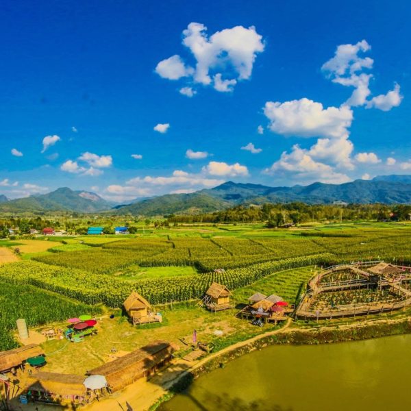 Luxury Thailand Vacation Rice Field With Mountain And Houses During Cloudy Day Agricultural Agriculture Asia