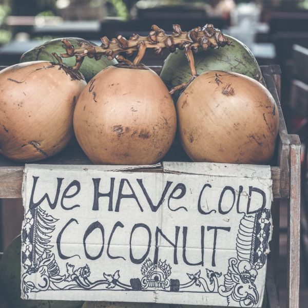 Luxury Thailand Vacation Tan Coconuts Placed Atop Brown Wooden Table Agriculture Background Bunch