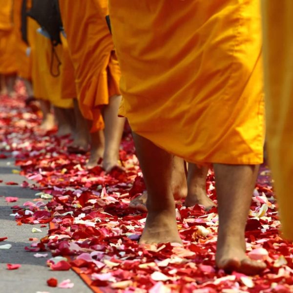 Luxury Thailand Vacation Walking Monks