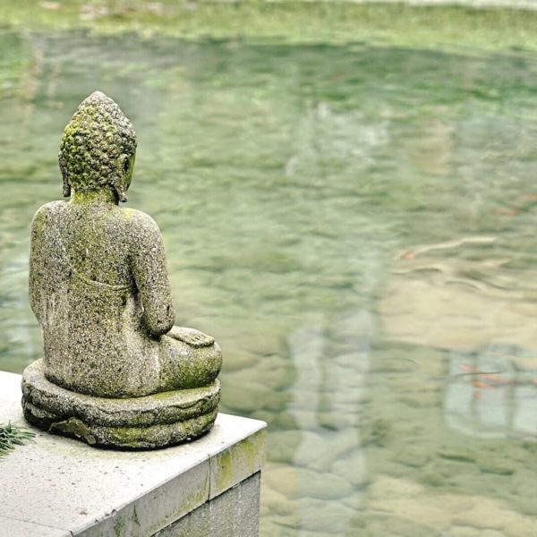 Luxury Vacation China Asia China Buddha Statues Religion Sculpture Water
